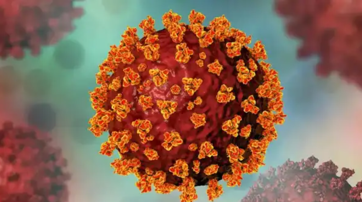 NB.1.8.1 COVID Variant: New Strain Sparks Fresh Global Concerns – What You Should Know