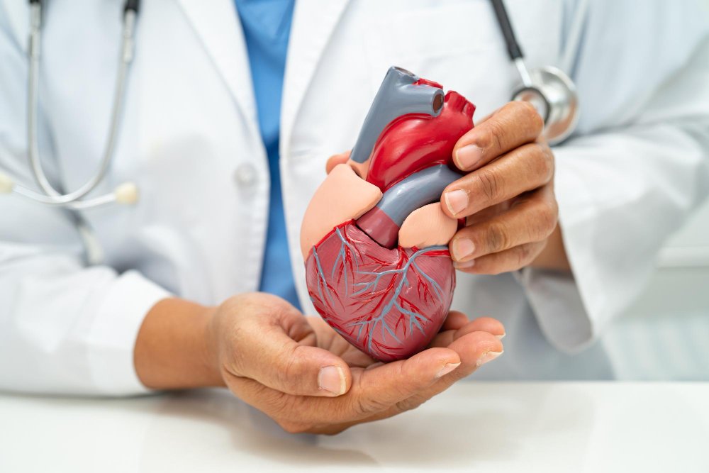 Modern Stress and Lifestyle Fuel Rising Heart Risks in 30s and 40s, Warn Cardiologists