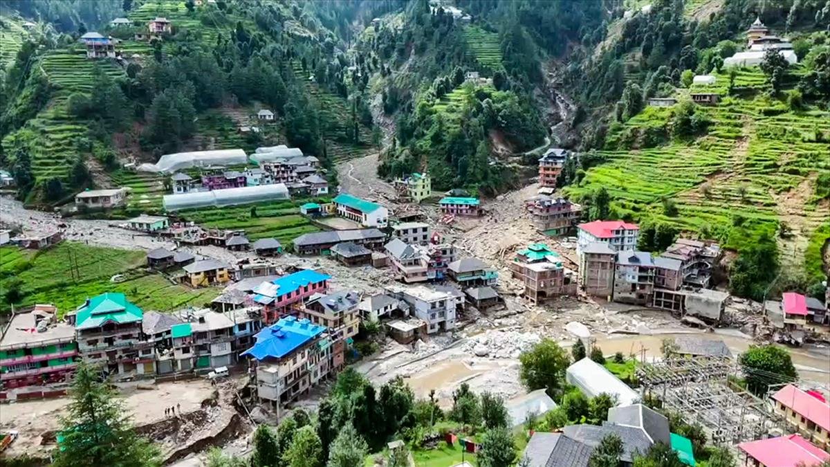 Pet Dog’s Howl Saves 60 Lives in Mandi Cloudburst