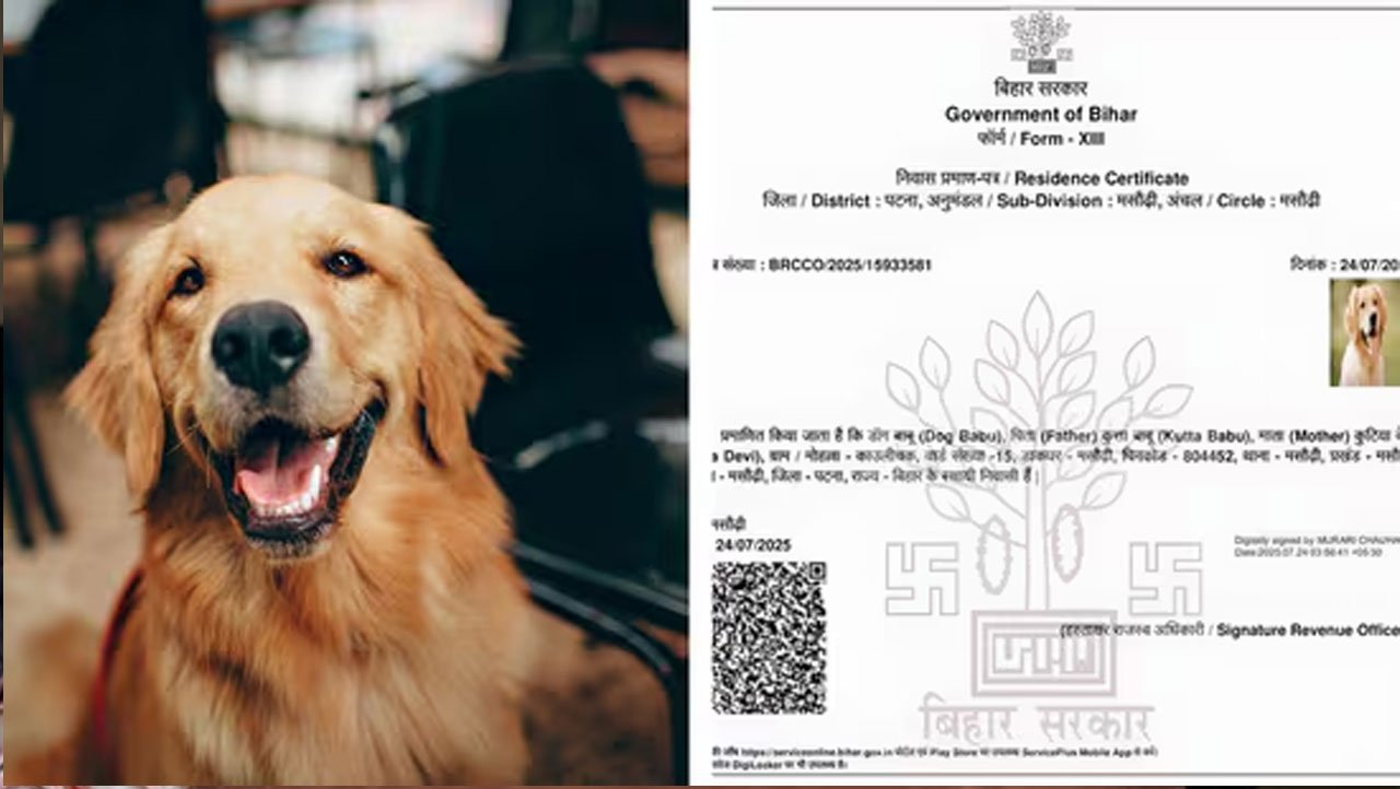 Dog Babu Issued Residence Certificate