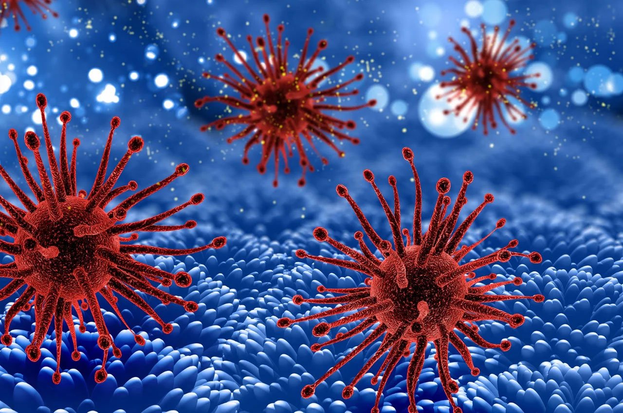 H5N1 Outbreak in Cambodia