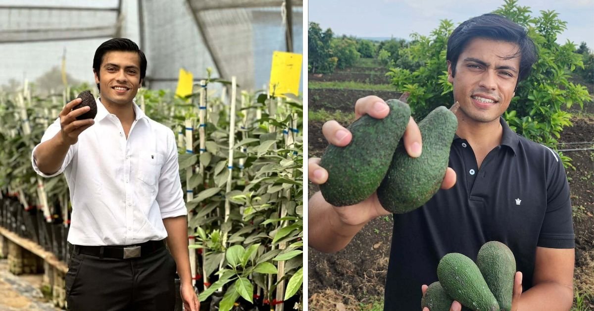 From London to Bhopal: How Harshit Godha Built India’s First Commercial Avocado Farm
